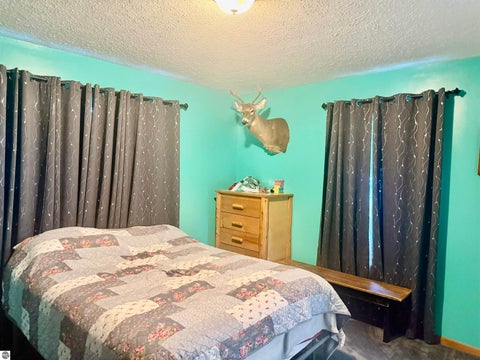 Tiny photo for 587 N Lewis RD, Shepherd, MI 48883 (MLS # 1950944)