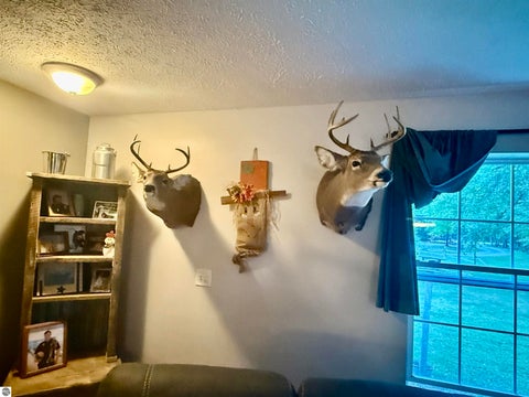 Tiny photo for 587 N Lewis RD, Shepherd, MI 48883 (MLS # 1950944)