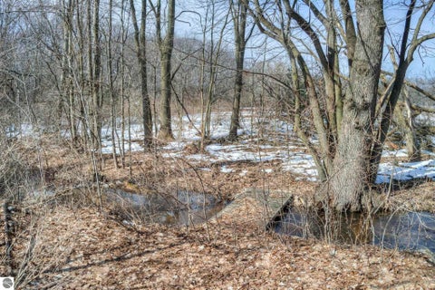 Tiny photo for 4793 E Duck Lake Road, Grawn, MI 49637 (MLS # 1943602)