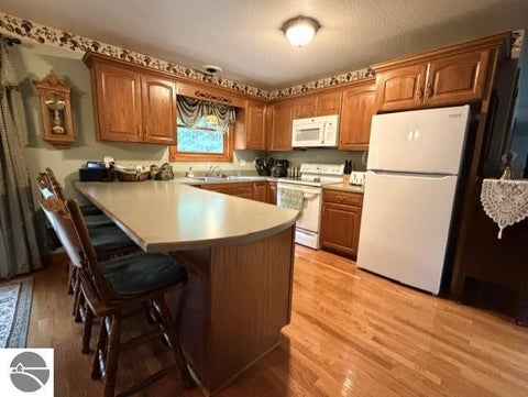 Tiny photo for 1111 E Washington Street, East Tawas, MI 48730 (MLS # 1949903)