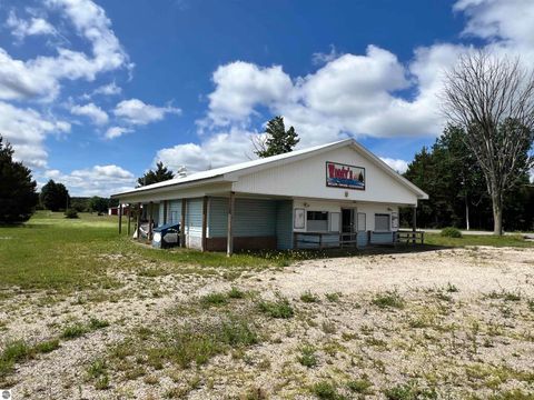 Tiny photo for 6020 E 34 Road, Cadillac, MI 49601 (MLS # 1942417)