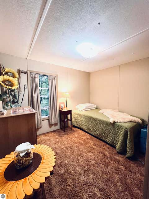 Tiny photo for 154 Hills Circle, Leroy, MI 49655 (MLS # 1946942)