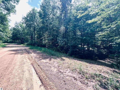 Tiny photo for 154 Hills Circle, Leroy, MI 49655 (MLS # 1946942)