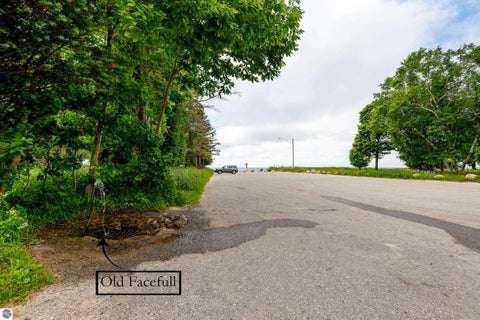 Tiny photo for 3528 Potter Road, Bear Lake, MI 49614 (MLS # 1947662)