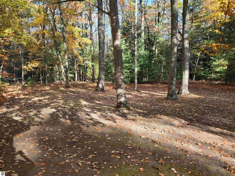 Tiny photo for 3859 E Cedar Lake Drive, Greenbush, MI 48738 (MLS # 1952099)