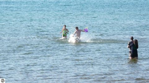 Tiny photo for 2035 N US-31 N #102, Traverse City, MI 49686 (MLS # 1932163)