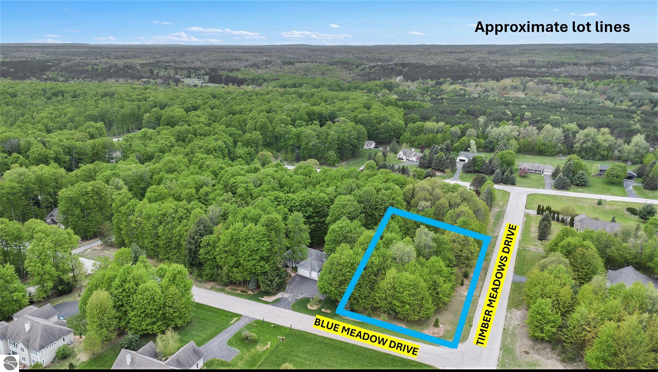 2725 Blue Meadow Drive - Photo 4