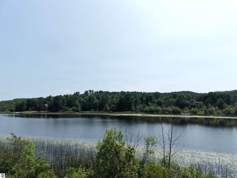 Tiny photo for 6151 East Jordan Road, Ellsworth, MI 49729 (MLS # 1948779)
