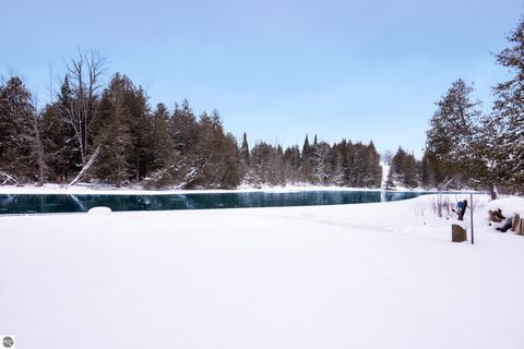 Tiny photo for 3681 Riverview Road, Manton, MI 49663 (MLS # 1942062)