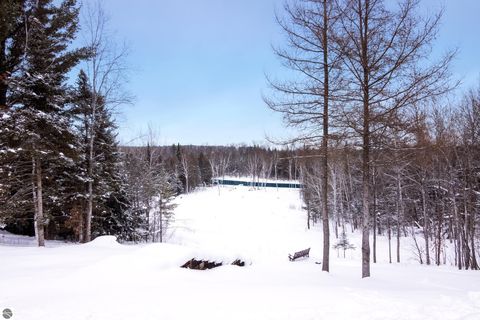 Tiny photo for 3681 Riverview Road, Manton, MI 49663 (MLS # 1942062)