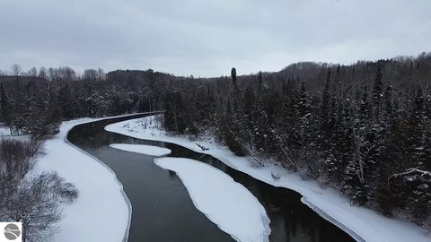 Tiny photo for 3681 Riverview Road, Manton, MI 49663 (MLS # 1942062)