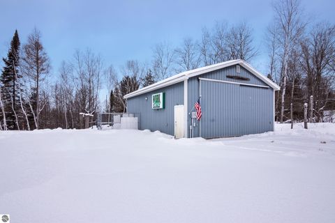 Tiny photo for 3681 Riverview Road, Manton, MI 49663 (MLS # 1942062)