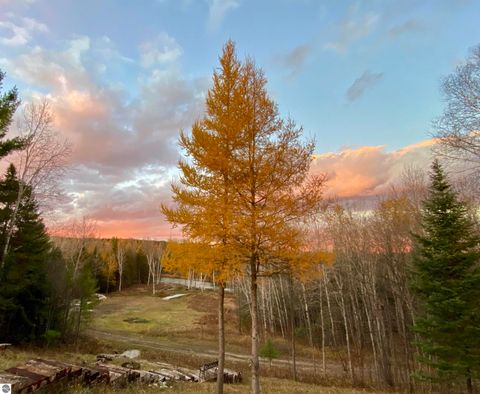 Tiny photo for 3681 Riverview Road, Manton, MI 49663 (MLS # 1942062)