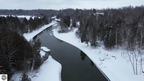 Tiny photo for 3681 Riverview Road, Manton, MI 49663 (MLS # 1942062)