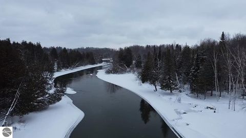 Tiny photo for 3681 Riverview Road, Manton, MI 49663 (MLS # 1942062)
