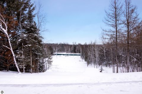 Tiny photo for 3681 Riverview Road, Manton, MI 49663 (MLS # 1942062)