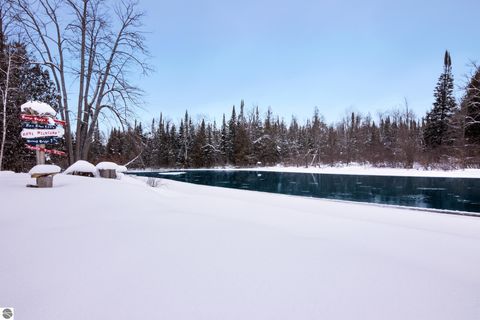 Tiny photo for 3681 Riverview Road, Manton, MI 49663 (MLS # 1942062)