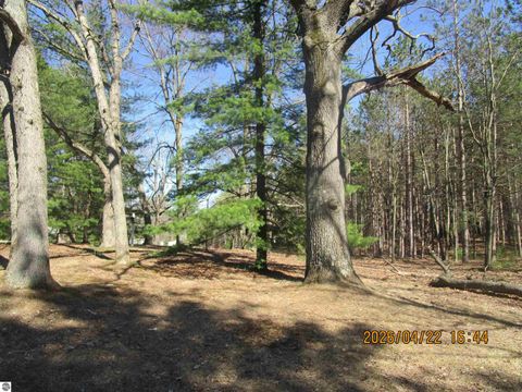 Tiny photo for 5179 W M-55, Tawas City, MI 48763 (MLS # 1944231)