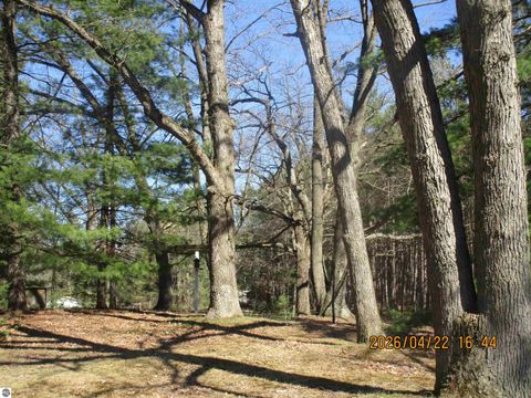 Tiny photo for 5179 W M-55, Tawas City, MI 48763 (MLS # 1944231)