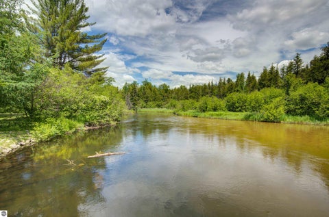 Tiny photo for 12079 Cold River Drive, Fife Lake, MI 49633 (MLS # 1947399)