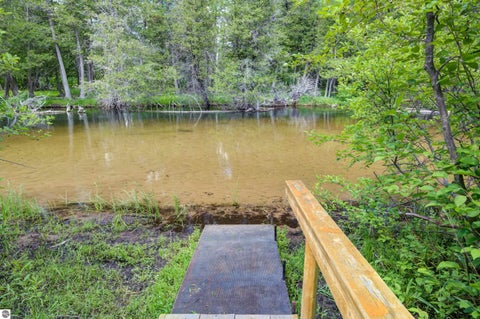 Tiny photo for 12079 Cold River Drive, Fife Lake, MI 49633 (MLS # 1947399)