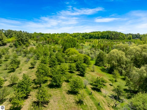Tiny photo for 14792 Peninsula Drive, Traverse City, MI 49686 (MLS # 1946289)