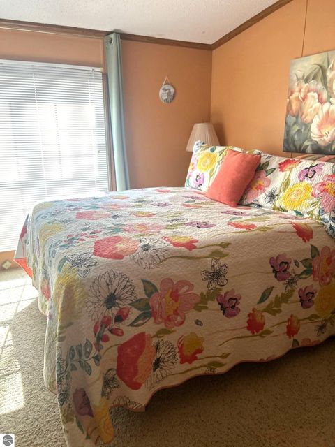 Tiny photo for 19093 Pike Street, Rodney, MI 49342 (MLS # 1943165)