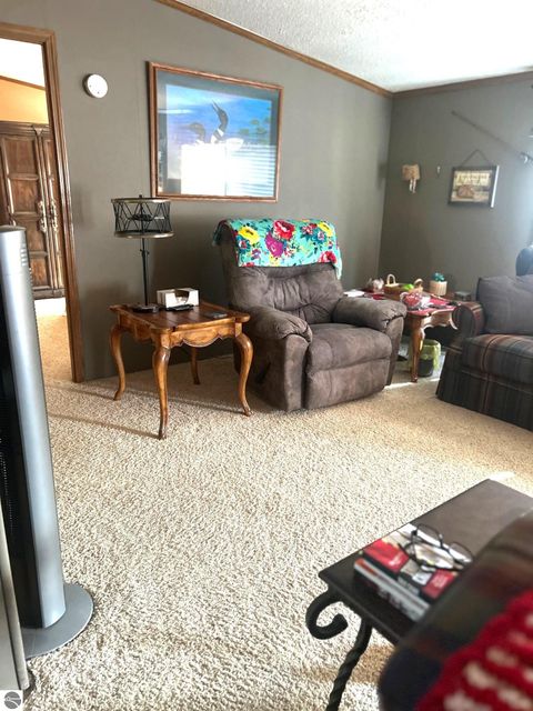 Tiny photo for 19093 Pike Street, Rodney, MI 49342 (MLS # 1943165)