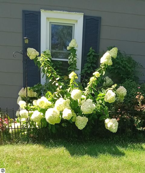 Tiny photo for 115 W Prospect Avenue, Harrietta, MI 49638 (MLS # 1941765)