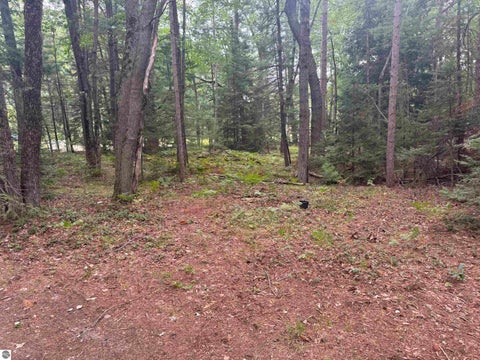 Tiny photo for 701 Springwood Drive, Prudenville, MI 48651 (MLS # 1949882)