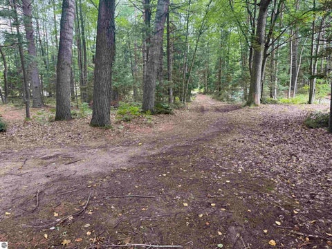 Tiny photo for 701 Springwood Drive, Prudenville, MI 48651 (MLS # 1949882)