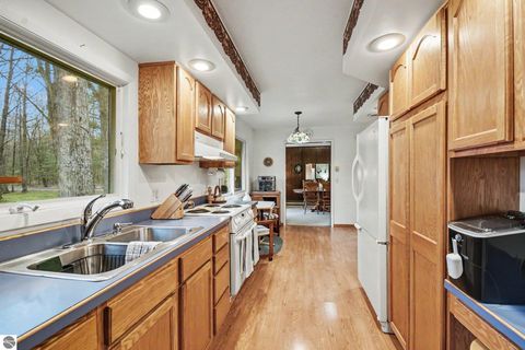 Tiny photo for 5376 Ausable Drive, Hale, MI 48739 (MLS # 1945126)