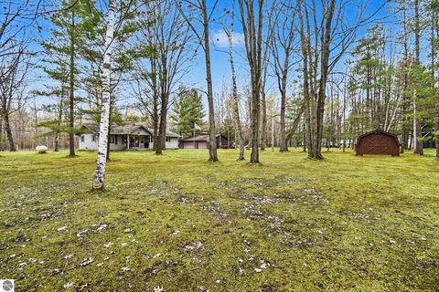 Tiny photo for 5376 Ausable Drive, Hale, MI 48739 (MLS # 1945126)