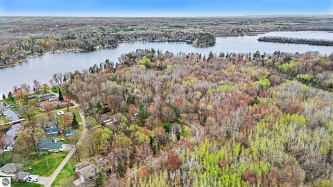 Tiny photo for 5376 Ausable Drive, Hale, MI 48739 (MLS # 1945126)