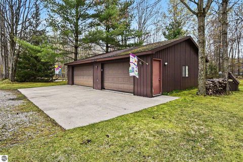 Tiny photo for 5376 Ausable Drive, Hale, MI 48739 (MLS # 1945126)