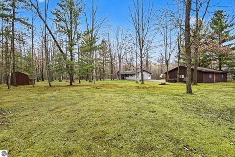 Tiny photo for 5376 Ausable Drive, Hale, MI 48739 (MLS # 1945126)