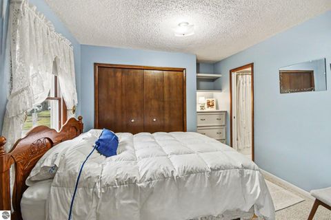Tiny photo for 5376 Ausable Drive, Hale, MI 48739 (MLS # 1945126)