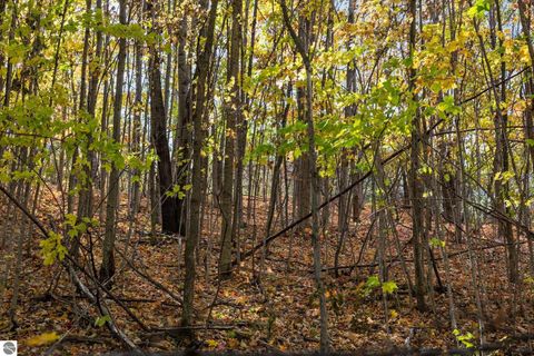 Tiny photo for 4525 Strait Road, Traverse City, MI 49685 (MLS # 1943781)