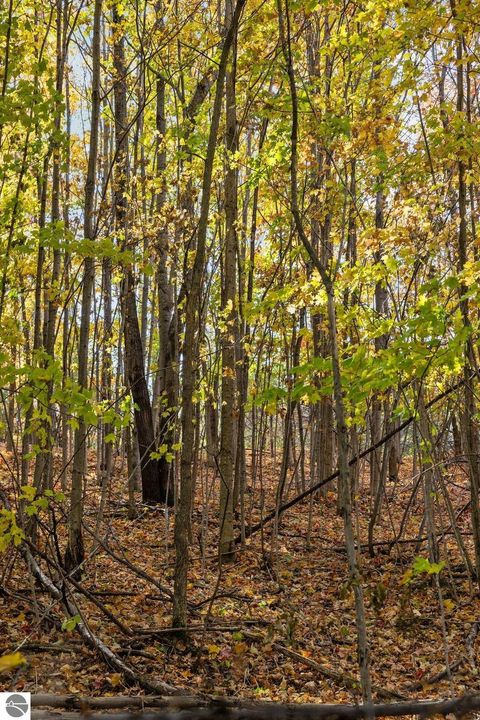 Tiny photo for 4525 Strait Road, Traverse City, MI 49685 (MLS # 1943781)