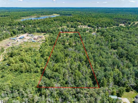 Tiny photo for 4809 E County Line Road, South Branch, MI 48761 (MLS # 1949394)
