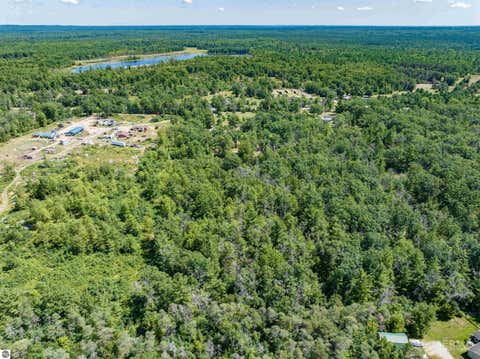 Tiny photo for 4809 E County Line Road, South Branch, MI 48761 (MLS # 1949394)