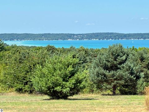 Tiny photo for 9065 Windigo Trail, Alden, MI 49612 (MLS # 1941871)