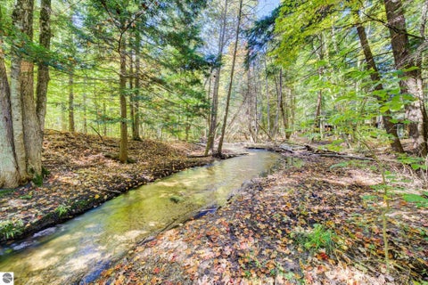 Tiny photo for 6497 Deer Path #117, Bellaire, MI 49615 (MLS # 1945424)