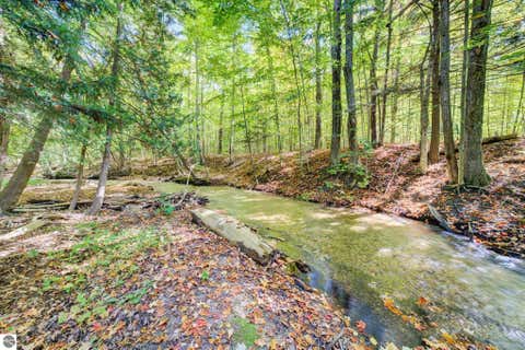 Tiny photo for 6497 Deer Path #117, Bellaire, MI 49615 (MLS # 1945424)