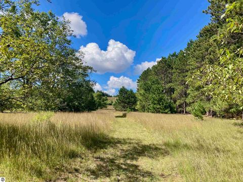 Tiny photo for 3800 N 13 Road, Mesick, MI 49668 (MLS # 1942844)