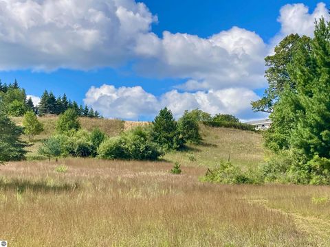 Tiny photo for 3800 N 13 Road, Mesick, MI 49668 (MLS # 1942844)