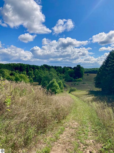 Tiny photo for 3800 N 13 Road, Mesick, MI 49668 (MLS # 1942844)