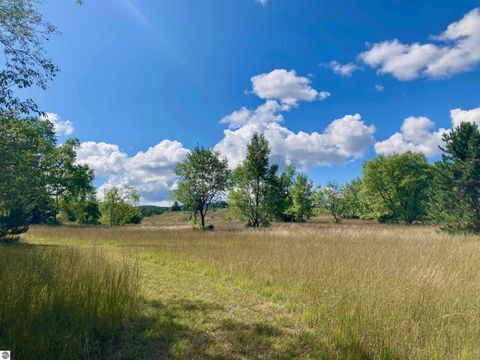 Tiny photo for 3800 N 13 Road, Mesick, MI 49668 (MLS # 1942844)