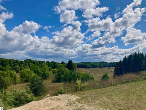 Tiny photo for 3800 N 13 Road, Mesick, MI 49668 (MLS # 1942844)