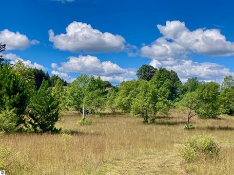 Tiny photo for 3800 N 13 Road, Mesick, MI 49668 (MLS # 1942844)